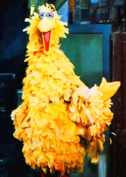 Big Bird
