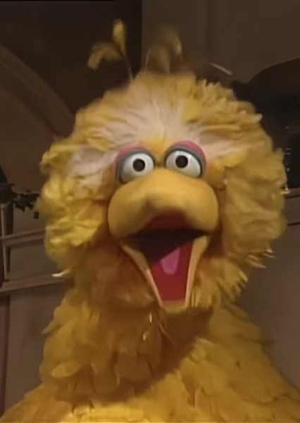 Big Bird