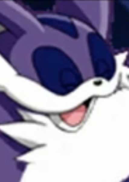 Big the Cat photo