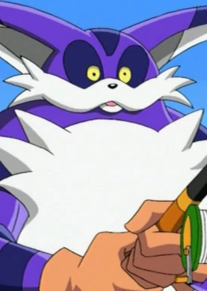 Big the Cat photo