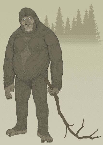 Bigfoot photo