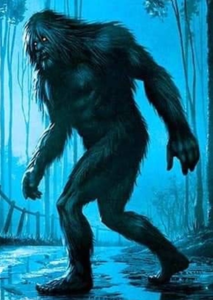 Bigfoot photo