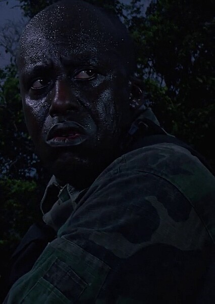 Bill Duke photo