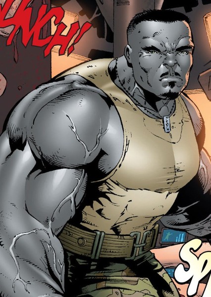 Bill Goldberg photo