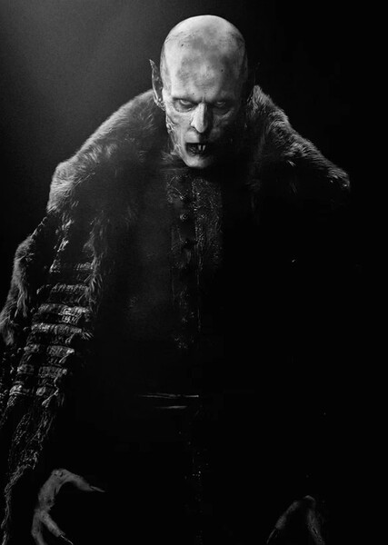 Bill Skarsgård photo