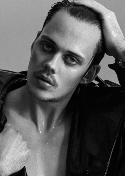 Bill Skarsgård photo