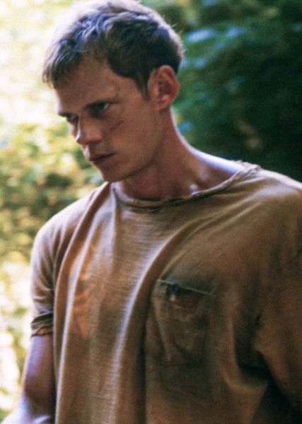 Bill Skarsgård photo