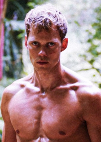 Bill Skarsgård photo