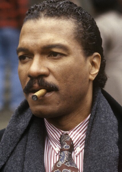 Billy Dee Williams photo