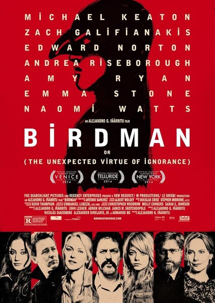 Birdman or (The Unexpected Virtue of Ignorance) photo