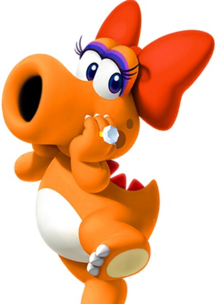 Birdo photo