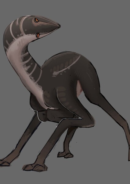 Birrin