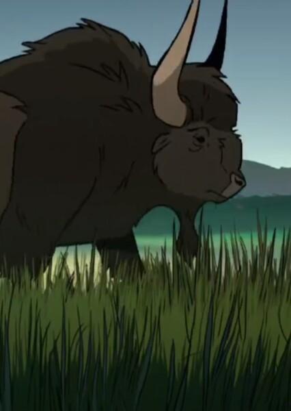 Bison Latifrons photo