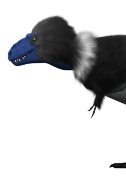 Bistahieversor photo