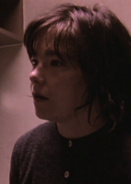 Björk photo