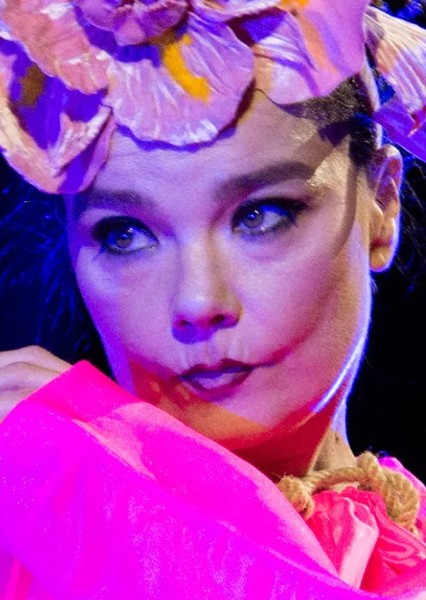 Björk photo