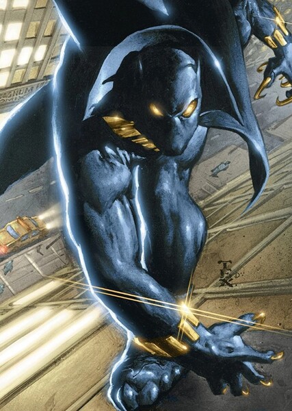 Black Panther (T'Challa) photo
