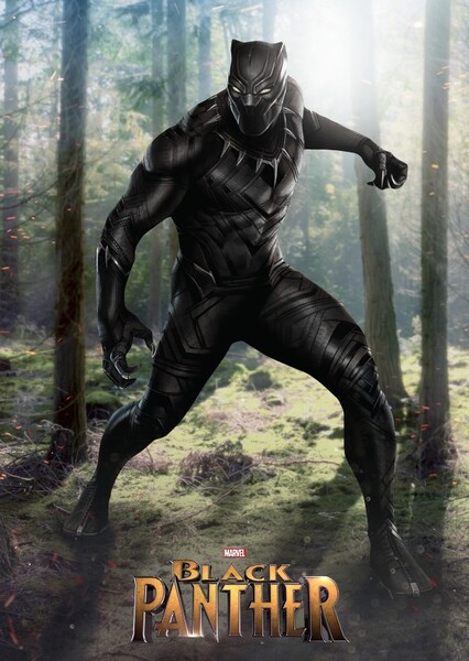 Black Panther (2018) Film photo