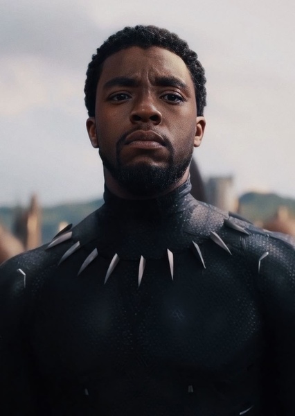 Black Panther (Marvel Cinematic Universe)