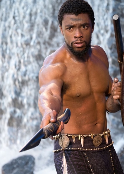 Black Panther (Marvel Cinematic Universe)