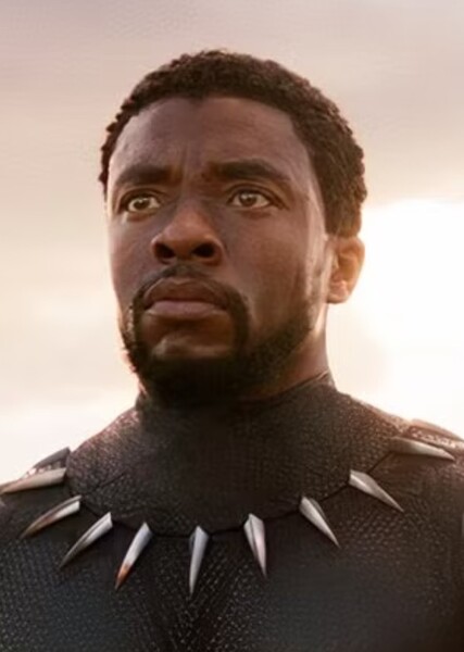 Black Panther (T'Challa)