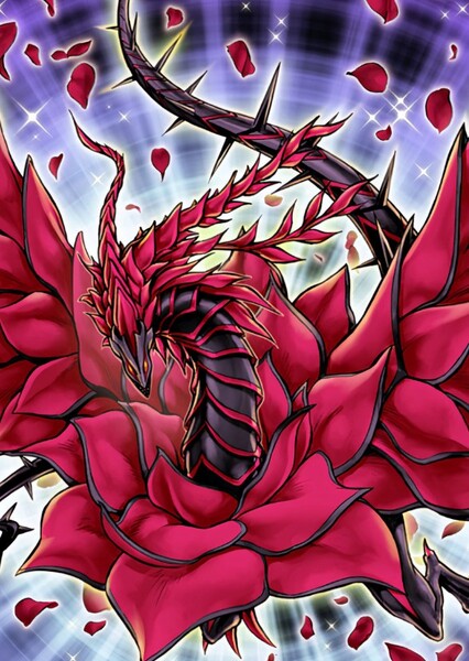 Black Rose Dragon