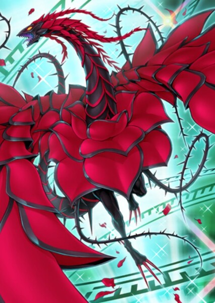 Black Rose Dragon photo