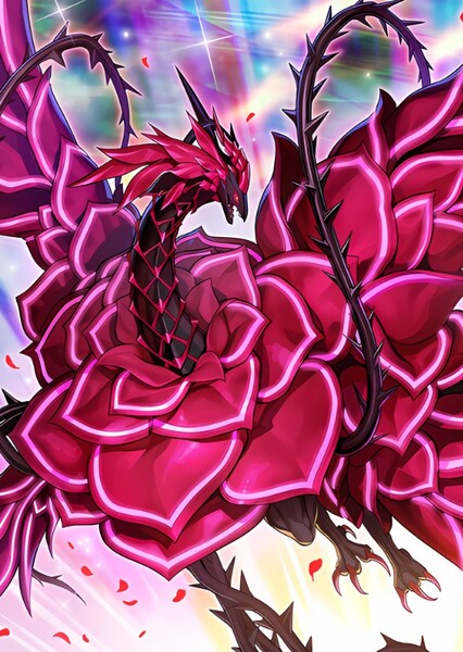 Black Rose Dragon photo