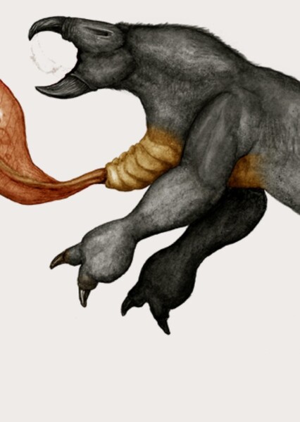 Black Thing (Snaiad)