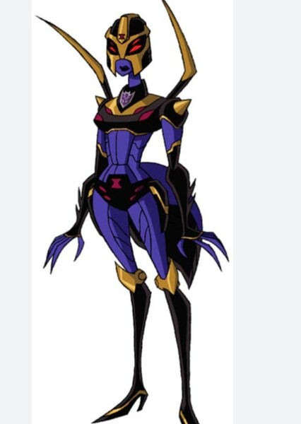 Blackarachnia photo