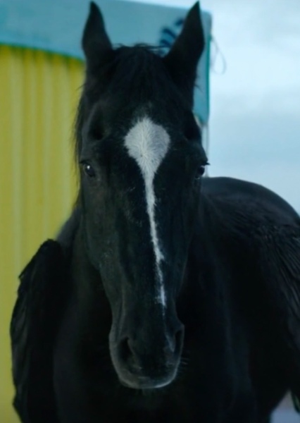 Blackjack (Percy Jackson)