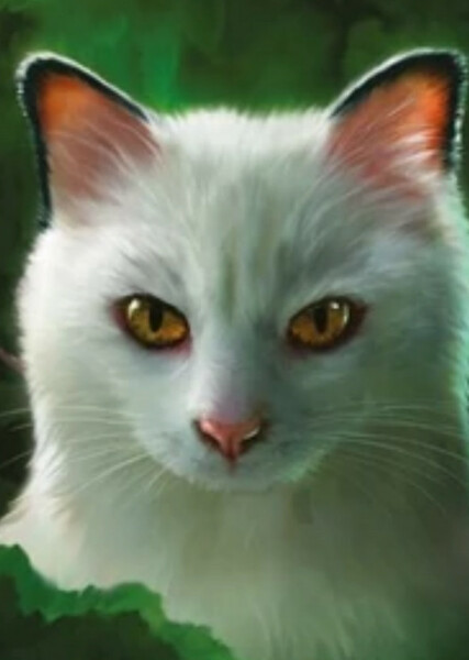 Blackstar (Warrior Cats) photo