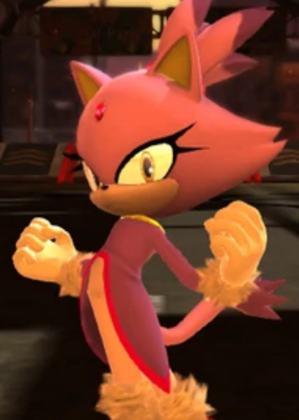 Blaze the Cat photo