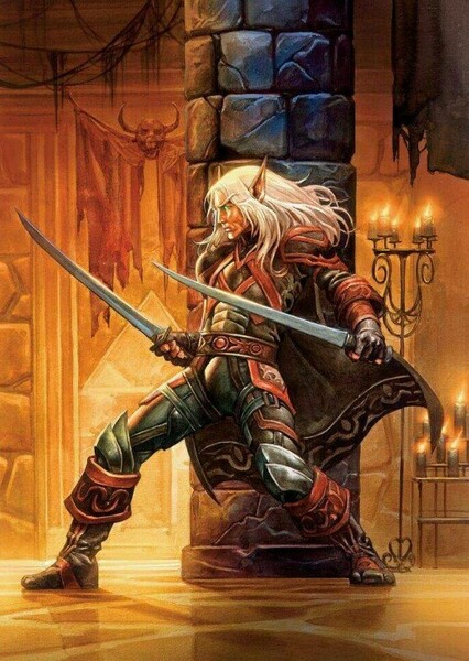 Blood Elf Swordsman (Warcraft) photo