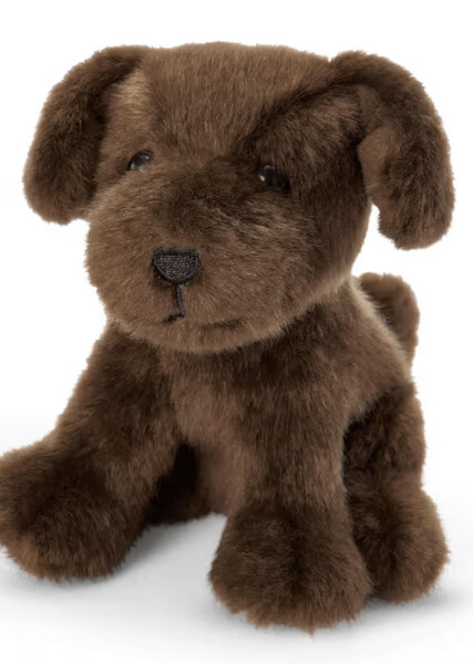 Blossom (American Girl) photo