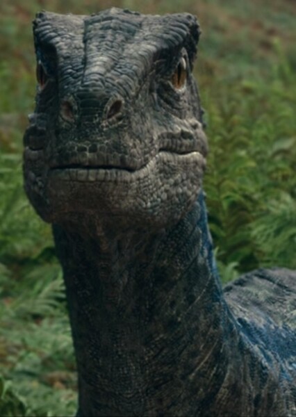 Blue (Jurassic World) photo
