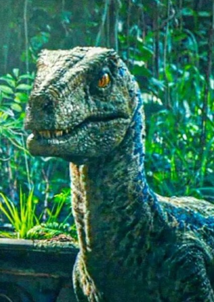 Blue (Jurassic World) photo