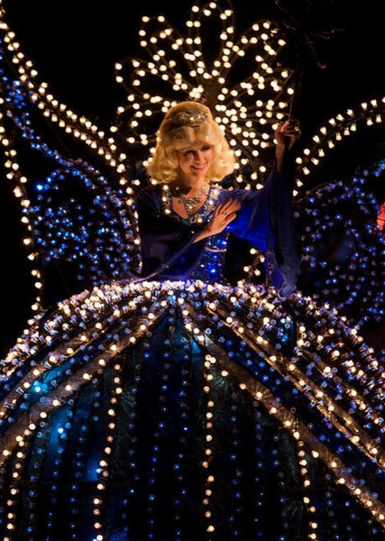 The Blue Fairy photo