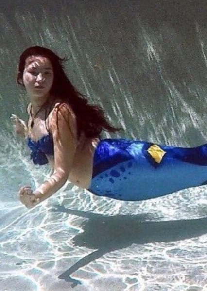 Blue Tang Mermaid