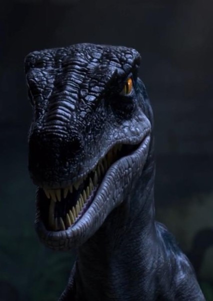 Blue the Velociraptor photo