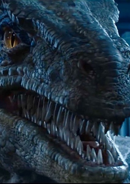 Blue the Velociraptor photo