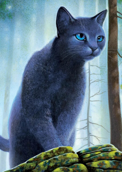 Bluestar (Warrior Cats)