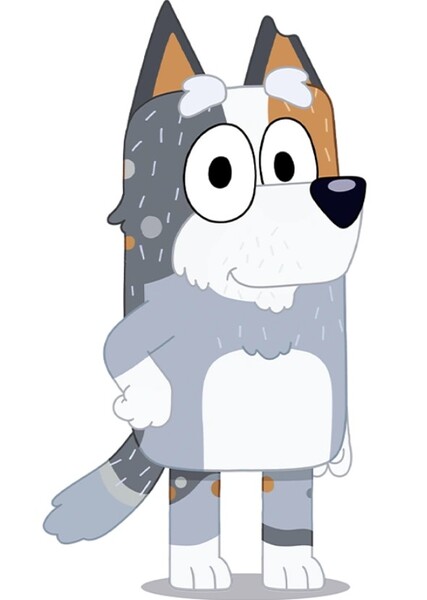 Bob Heeler