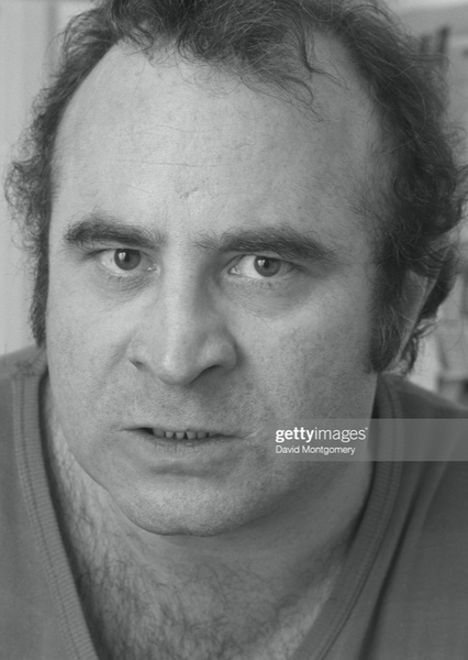 Bob Hoskins photo