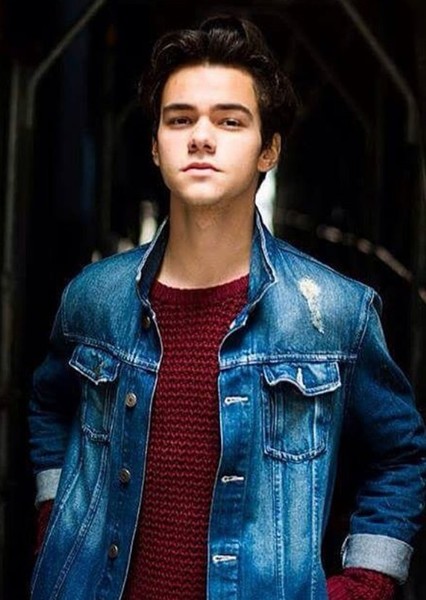 Bogdan Iancu photo