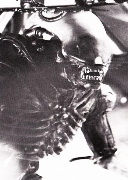 Bolaji Badejo photo