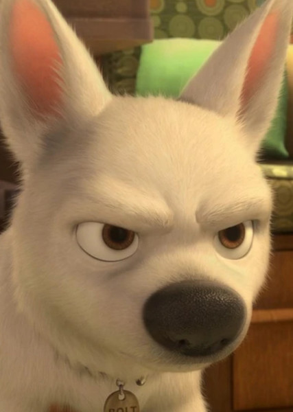 Bolt (Disney Character) photo