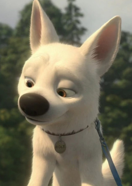 Bolt (Disney Character) photo