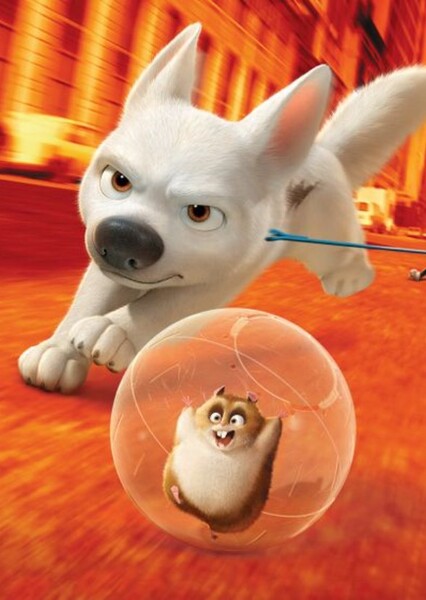 Bolt and Rhino photo