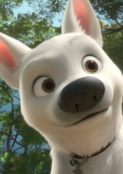 Bolt